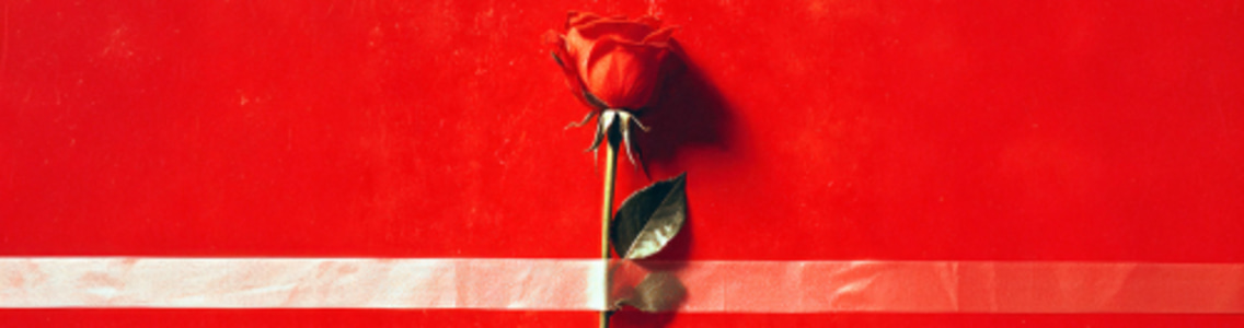 LUISA MILLER - Sat, May 15, 2027, 19:30 at Landestheater Linz Musiktheater, Am Volksgarten 1, 4020 Linz, Österreich