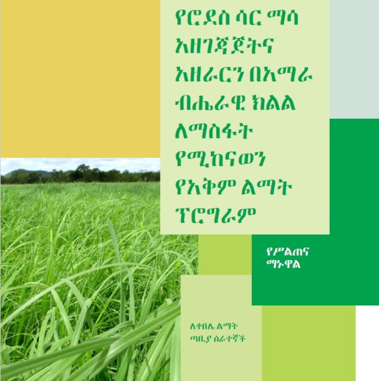 የሮደስ ሳር ማሳ አዘገጃጀትና አዘራርን በአማራ ብሔራዊ ክልል ለማስፋት የሚከናወን የአቅም ልማት ፕሮግራም