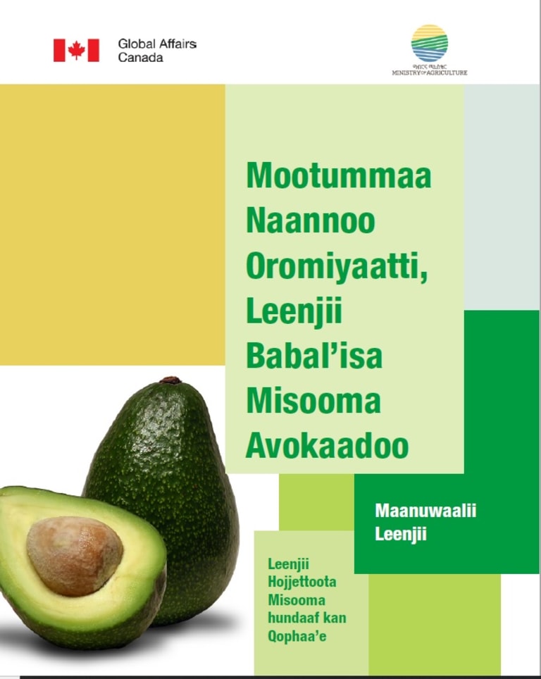 Avocado Production Training Manual