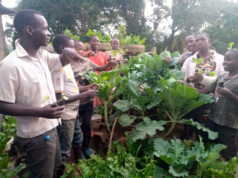 Youth embrace low cost vegetable production