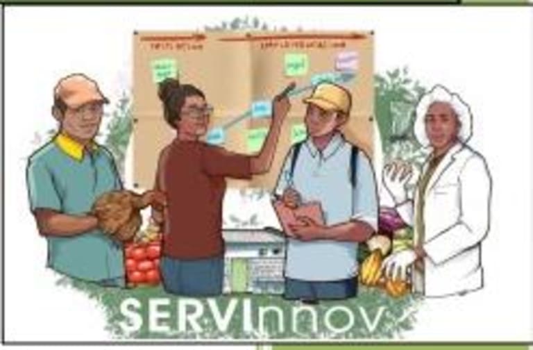 Fourniture des services de support à l'innovation  (FSSI)