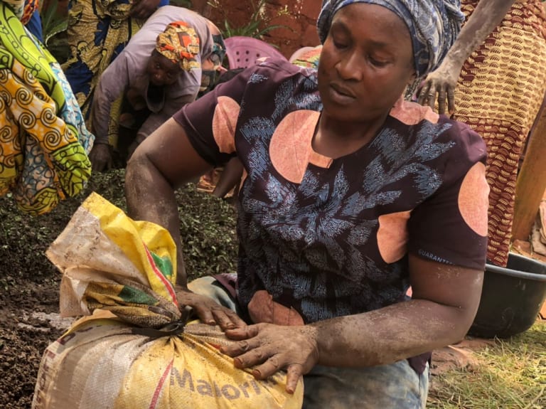 AN EFFECTIVE ORGANIC FERTILIZER BANK IN CAMEROON