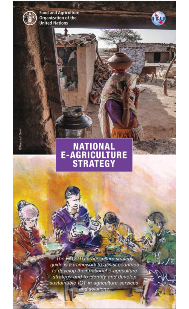 National e-agriculture Strategy