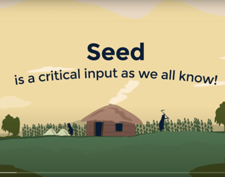 What is Seed Security-
