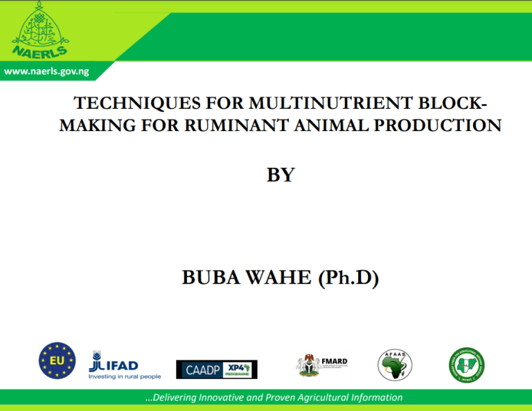 TECHNIQUES FOR MULTINUTRIENT BLOCKMAKING FOR RUMINANT ANIMAL PRODUCTION