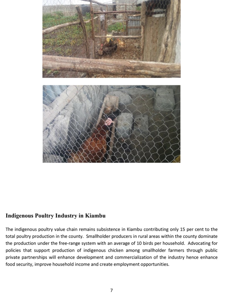 Livestock Production