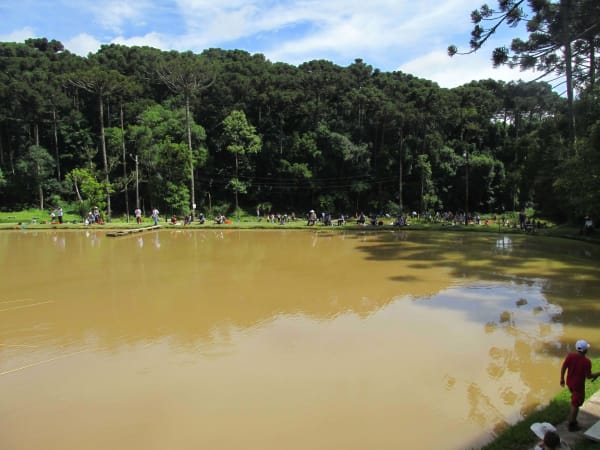 8º Torneio de Pesca - AFCC