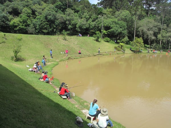 8º Torneio de Pesca - AFCC