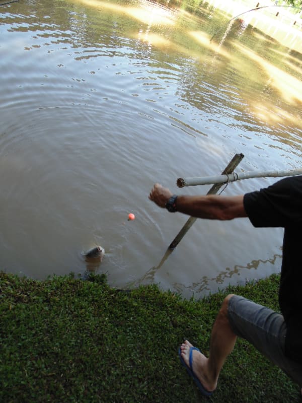 6º Torneio de Pesca - AFCC