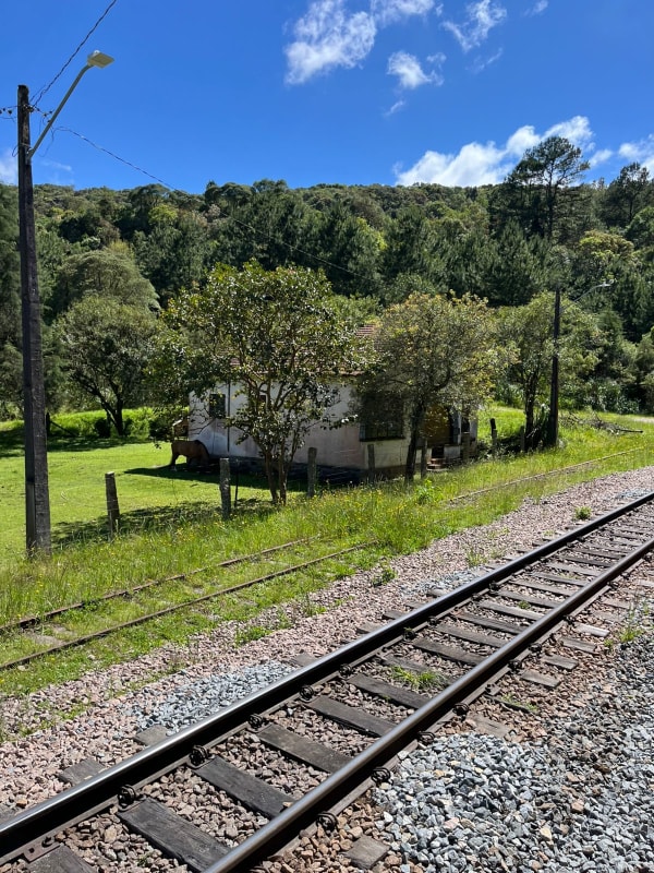 Viagem Serra do Mar/Morretes - Nov/25