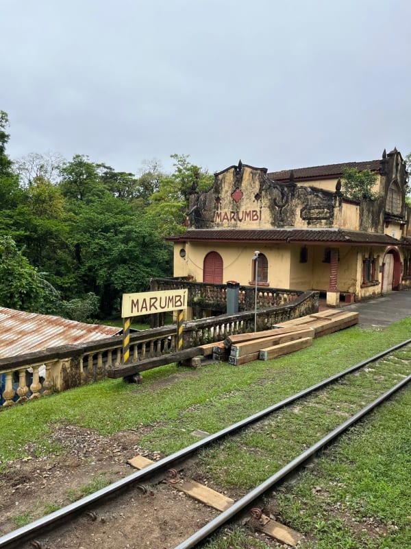 Viagem Serra do Mar/Morretes - Nov/25