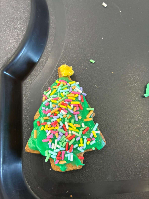 Oficina de Bolachas Natalinas - Castro - Dez/25