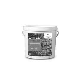 Chlore multifonctions 5 en 1 en galets Poolstyle - PSL-500-0003 pas cher Principale M