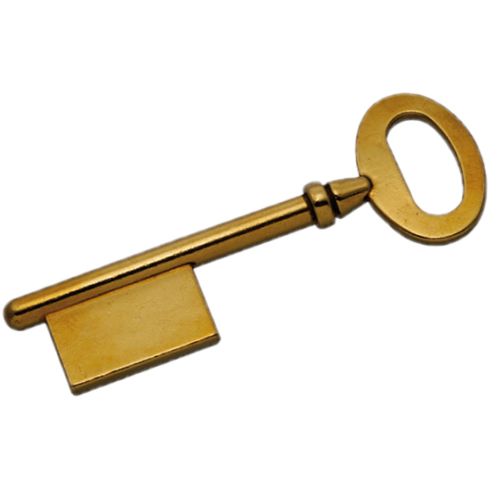 Ébauches de clé LP4 - Sachet de 10 photo du produit Secondaire 1 L
