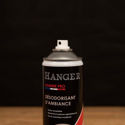 Désodorisant d'ambiance citron aérosol de 650 ml HANGER 700901 photo du produit Secondaire 2 L