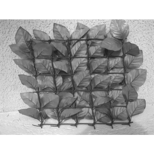 Treillis feuilles de rosier 1x2m - JET7GARDEN - J7G.TREILFR pas cher Secondaire 1 L