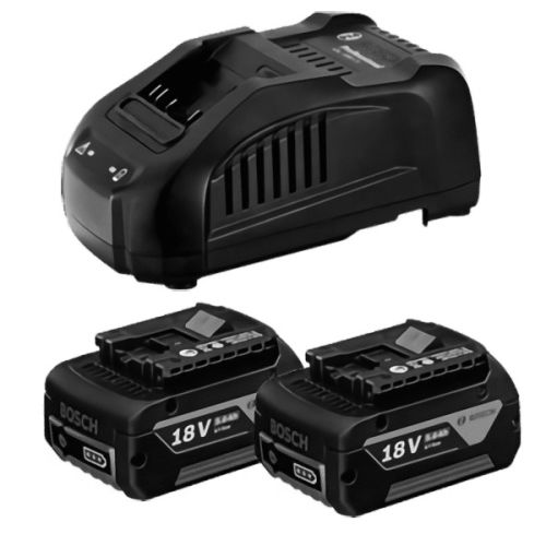 Pack 18V 2 batteries GBA 5Ah + chargeur GAL 1880 CV Professional - BOSCH - 1600A00B8J pas cher Secondaire 2 L