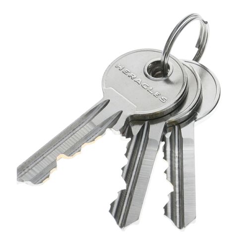 Cadenas anse haute LONGO longueur 50mm - HERACLES - I-CAD-L50 pas cher Secondaire 3 L