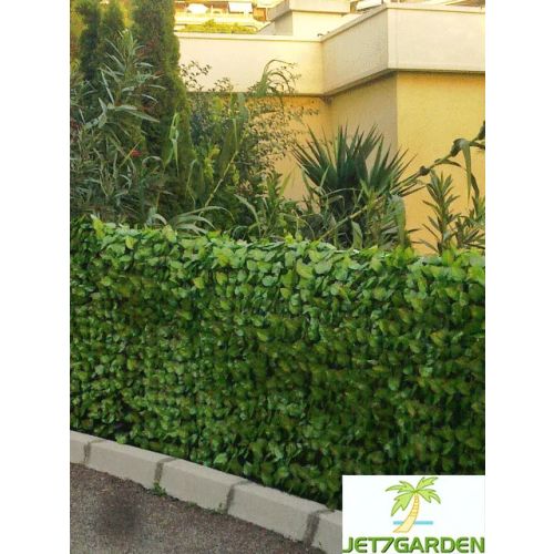 Rouleau haie artificielle feuilles de rosier 1 m x 3 m JET7GARDEN J7GF.ROSIER100 photo du produit