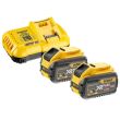 Pack 2 batteries 18/54 V XR FLEXVOLT 12/4 Ah DEWALT DCB118Y2-QW photo du produit