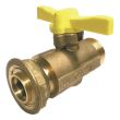 Robinet pour compteurs gaz 6/20 P/G4 - BANIDES - 22054220 pas cher