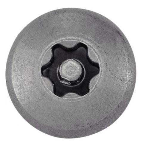Vis pour penture Torx avec téton inviolable A2 6x30 boîte de 100 ACTON 628136X30 photo du produit Secondaire 3 L