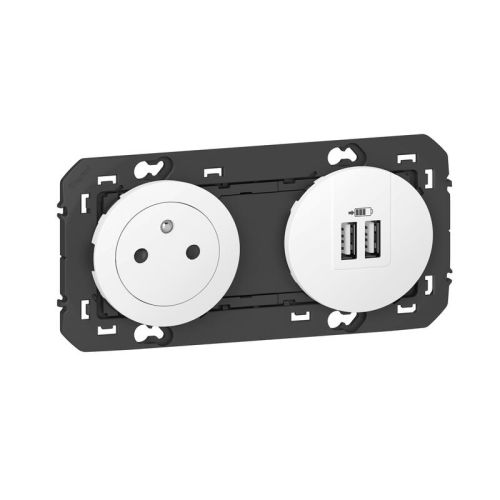 Prise de courant 2P+T surface avec prise 2 USB type-A DOOXIE 3A précâblés finition blanc - LEGRAND - 600342 pas cher