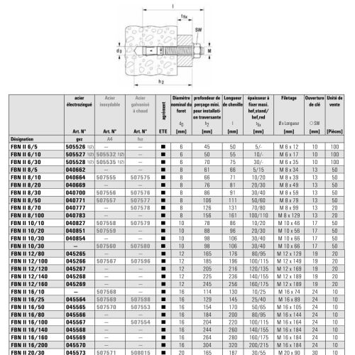 Goujons d‘ancrage FBN II acier électrozingué 10/140X216 boîte de 20 - FISCHER - 40944 pas cher Secondaire 1 L