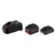 Pack 2 batteries 18 V Procore 4 Ah / 5,5 Ah + chargeur rapide BOSCH 1600A0214A photo du produit