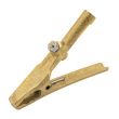 Pince de masse croco laiton 250 A 35 mm2 XPERTY XPE0454699 photo du produit