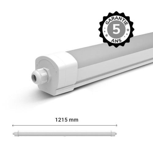 Lampe étanche DANUBE CCT II 35W 1215 x 66 x 63mm traversant - MIIDEX - 101080 pas cher