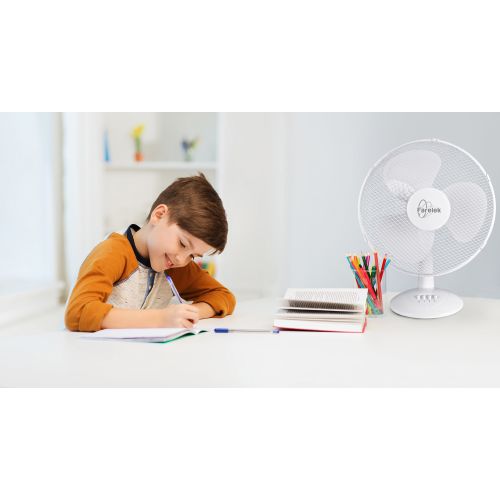 Ventilateur de table Miami ECO 50 W 40 cm FARELEK 112070 photo du produit Secondaire 1 L
