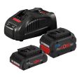 Pack 2 batteries 18 V Procore 4 Ah / 5,5 Ah + chargeur rapide BOSCH 1600A0214A photo du produit Secondaire 3 S
