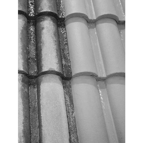 Antimousse 2100 concentré 10L - DALEP - 121010 pas cher Secondaire 1 L