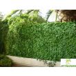 Rouleau haie artificielle feuilles de lierres 1 m x 3 m JET7GARDEN J7GF.VC100 photo du produit