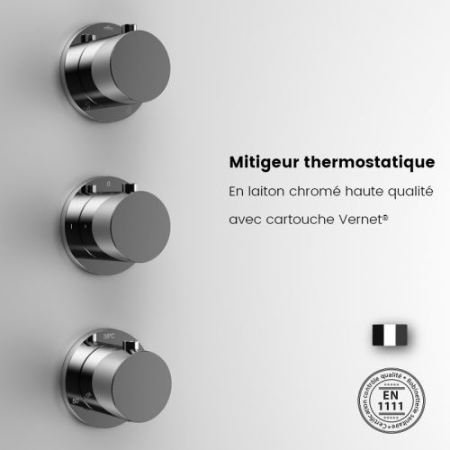Cabine de douche Hydromassante SILVER HYDRO 120x80 gauche blanc - THALASSOR - SRMB1280G-ANGLE pas cher Secondaire 5 L