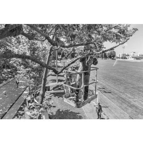 Elagueuse thermique 35,2cm3 T435 35SN 35cm 3/8'' mini - HUSQVARNA - 966997214 pas cher Secondaire 1 L