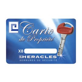 Clé réversible à mobile en Maillechort pour cylindres X8 photo du produit
