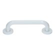 Barre d'appui en acier inoxydable recouvert d'epoxy droite 300 mm GARIS B-INOX-BR20 photo du produit Secondaire 2 S