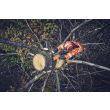 Coin d'abattage pour arboriste 4'' HUSQVARNA 598035701 photo du produit Secondaire 3 S