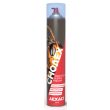 Insecticide anti guêpes frelons Choaex aérosol de 1000 ml AEXALT IC075 photo du produit