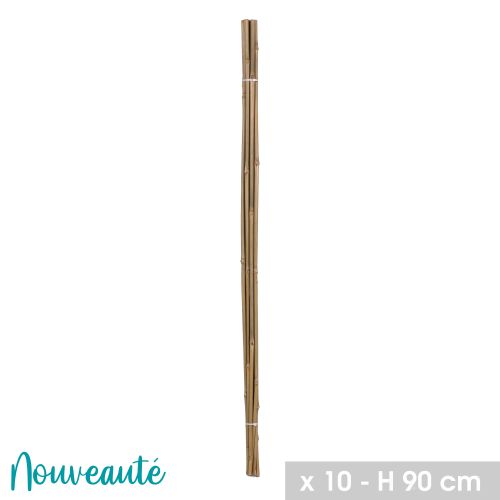 Lot de 10 tuteurs en bambou H90cm x D8/10 - 16566 pas cher Secondaire 1 L