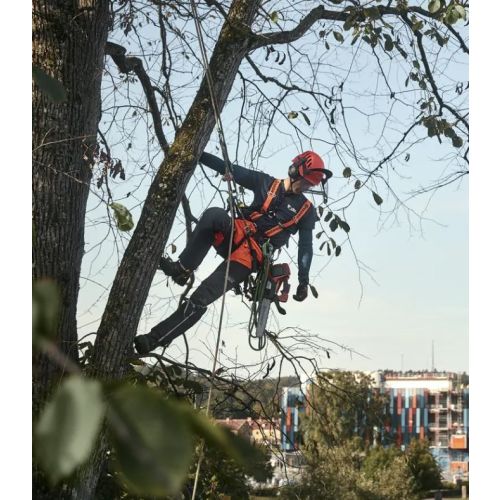 Elagueuse 36 V T535iXP-35SN (Sans batterie ni chargeur) HUSQVARNA 967 89 39-14 photo du produit Secondaire 2 L