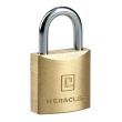 Cadenas laiton 20mm sous blister - HERACLES - I-CAD20-BS pas cher