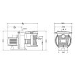 Pompe standard 1cv triphasé ULTRAFLOW - PENTAIR - PAC-100-0346 pas cher Secondaire 1 S