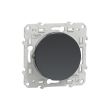 Bouton-poussoir ODACE 10 A à vis gris anthracite - SCHNEIDER ELECTRIC - S540206 pas cher