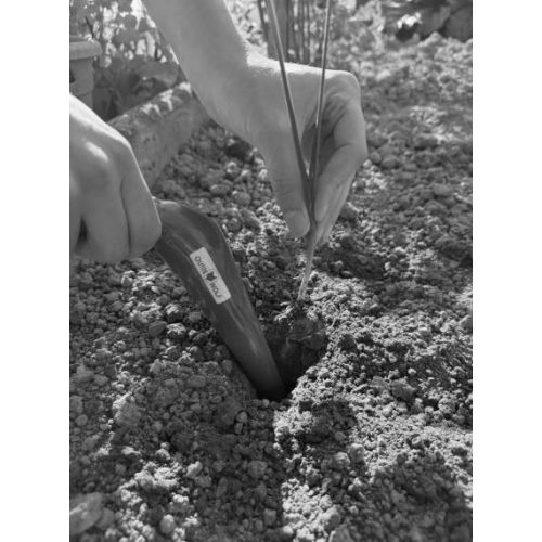 Plantoir conique acier - OUTILS WOLF - FE pas cher Secondaire 2 L