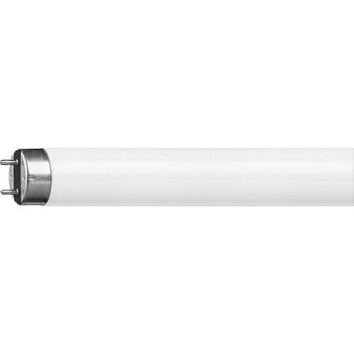 Lampe MASTER TL-D Super 80 36W 865 - PHILIPS - 632074 pas cher