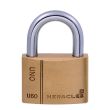 Cadenas laiton UNO 60mm - HERACLES - I-CAD60 pas cher