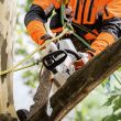 Tronçonneuse d'élagage 36V MSA 161 T 30 cm (sans batterie ni chargeur) STIHL 1252-200-0044 photo du produit Secondaire 3 S